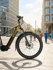 E-Bike