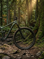 MTB